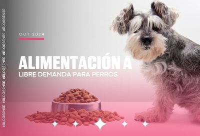 Alimentación a libre demanda para perros